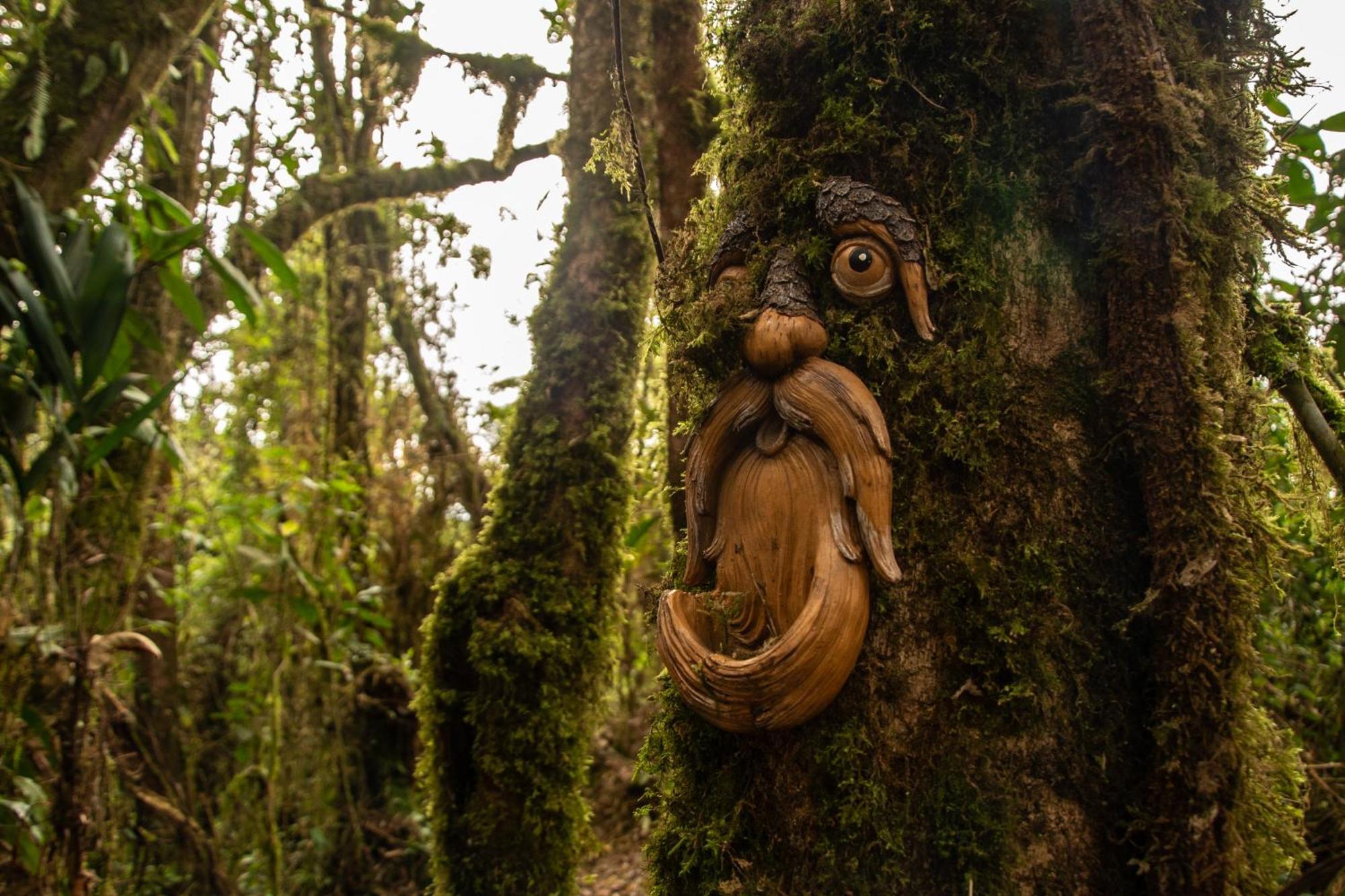 Villa Owl'S Watch At Rio Blanco Manizales Esterno foto