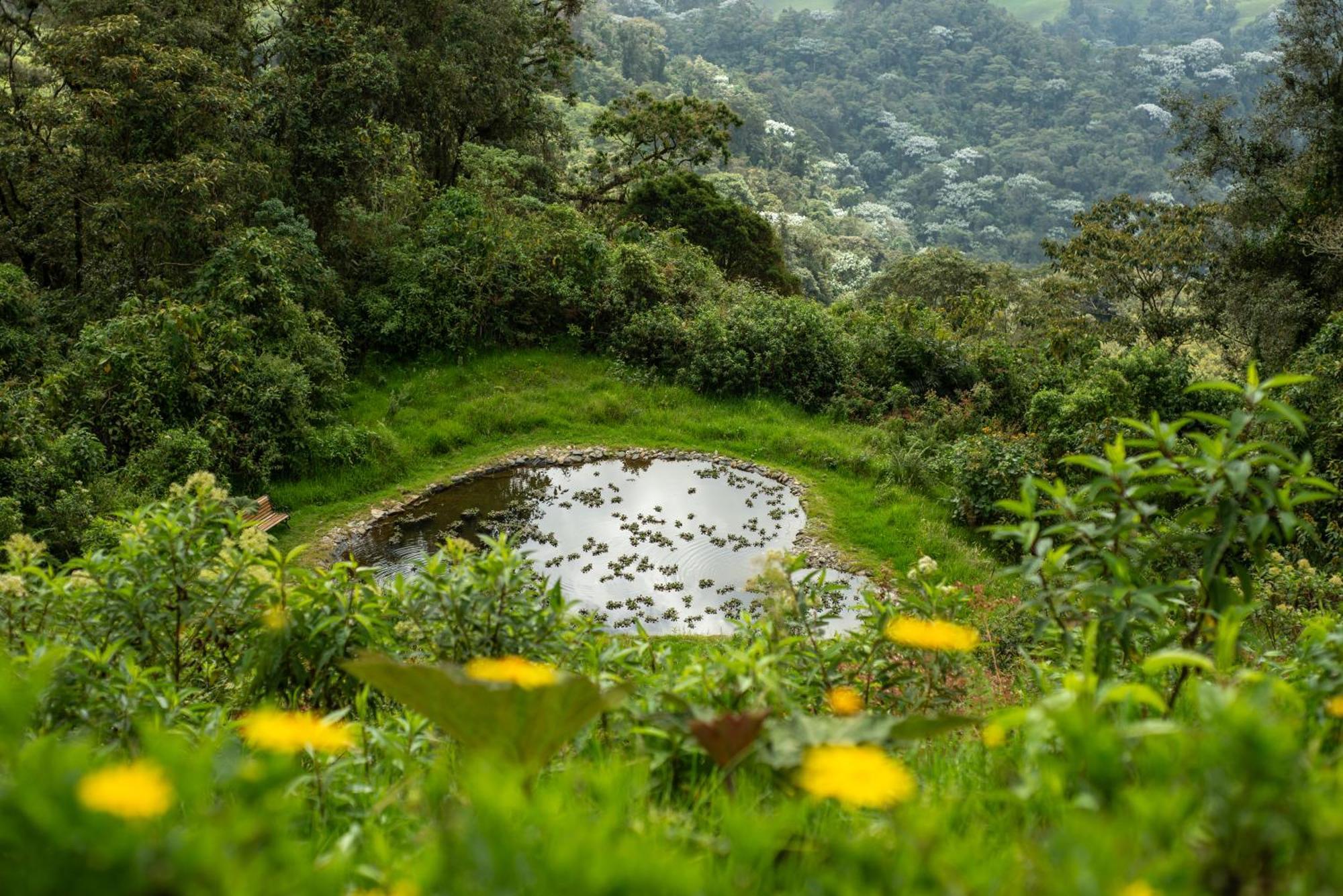 Villa Owl'S Watch At Rio Blanco Manizales Esterno foto